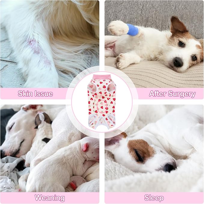 Coppthinktu Recovery Suit for Dogs After Surgery, Dog Onesie Surgery Recovery - Image 6