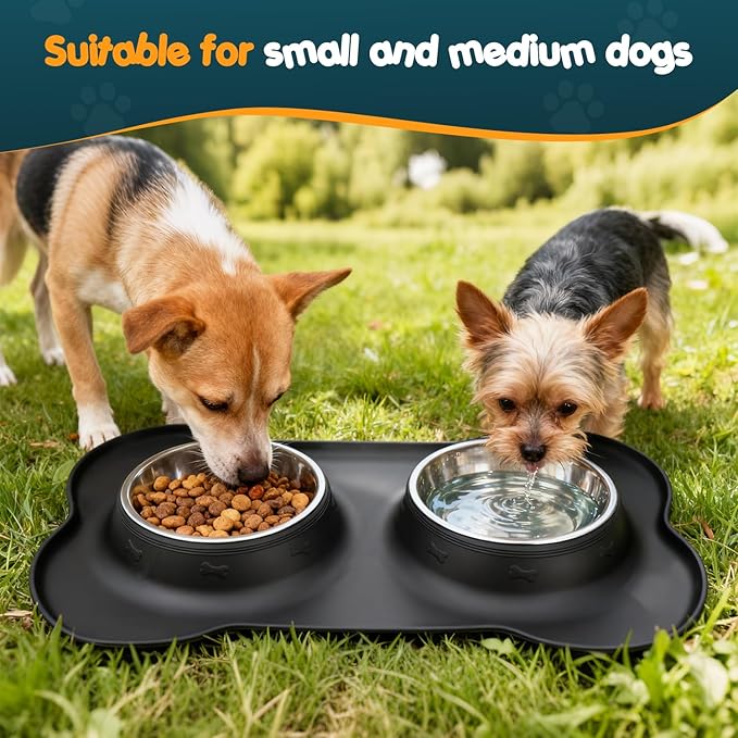 Double Dog Food Bowls Stainless Steel & Water Dish - Image 7