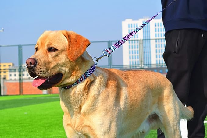 Mihqy Dog Collar and Leash Set - Image 5
