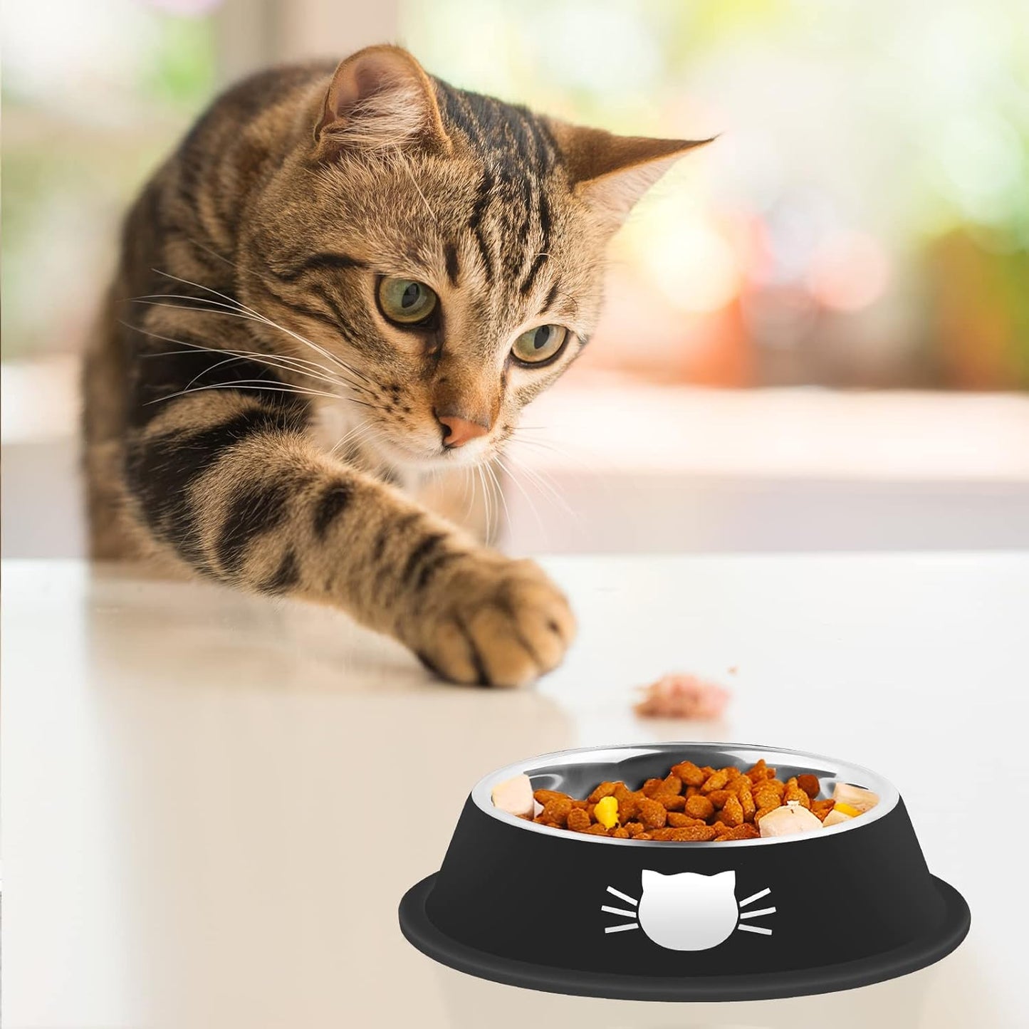 3Pcs Cat Bowls Non-Slip Stainless Steel Small Cat Food Bowl Unbreakable Thick Rubber Base Easily Clean Lovely Color