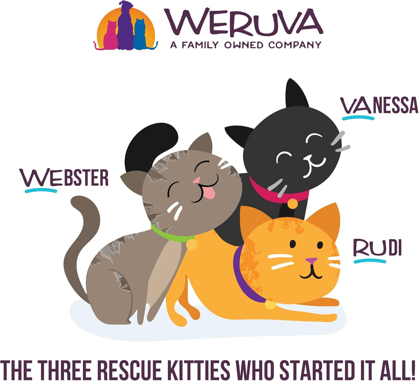 Weruva B.F.F. Play - Best Feline Friend Paté Lovers, Aw Yeah!, Chicken & Lamb Laugh Out Loud with Chicken & Lamb, 2.8oz Can (Pack of 12)