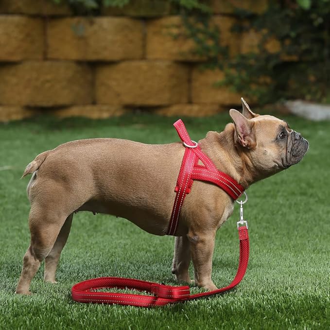 Plutus Pet No Pull Dog Harness - Image 5