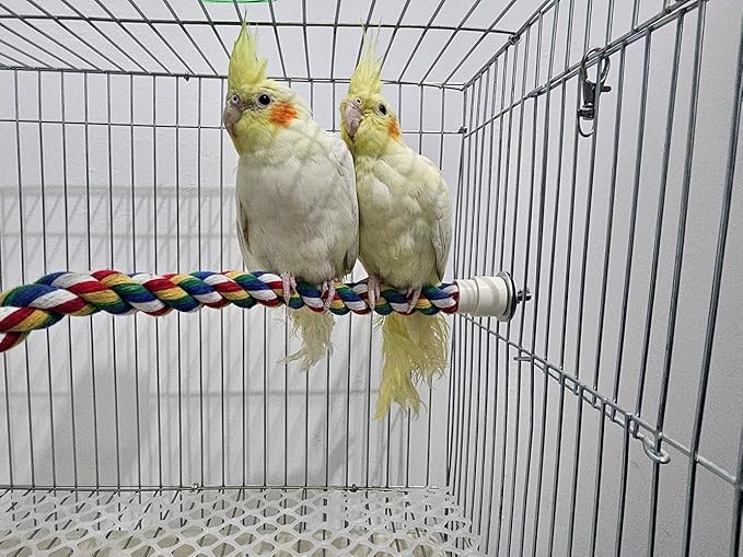 Bendable Fun Climbing Bird Cotton Rope Perch, Colorful Bungee Toy - Image 6