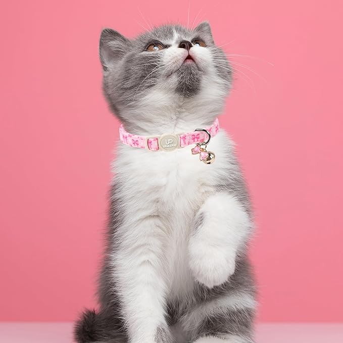 Cat Collar, Cat Collar with Bell, - Image 6