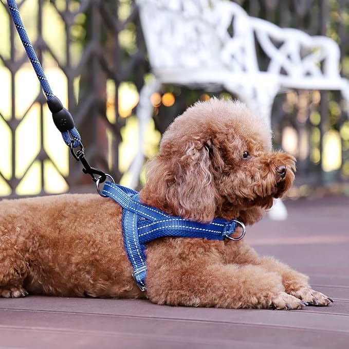 Plutus Pet No Pull Dog Harness - Image 5