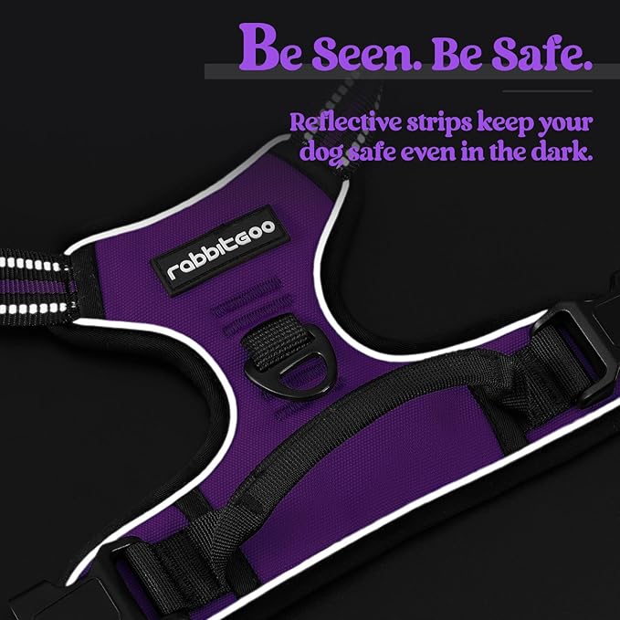 rabbitgoo Dog Harness No Pull - Image 7