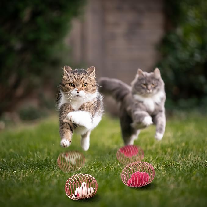 Jecery 5 Pcs Cat Spring Balls Toys Stretchable Rolling Balls Colorful Playful - Image 6