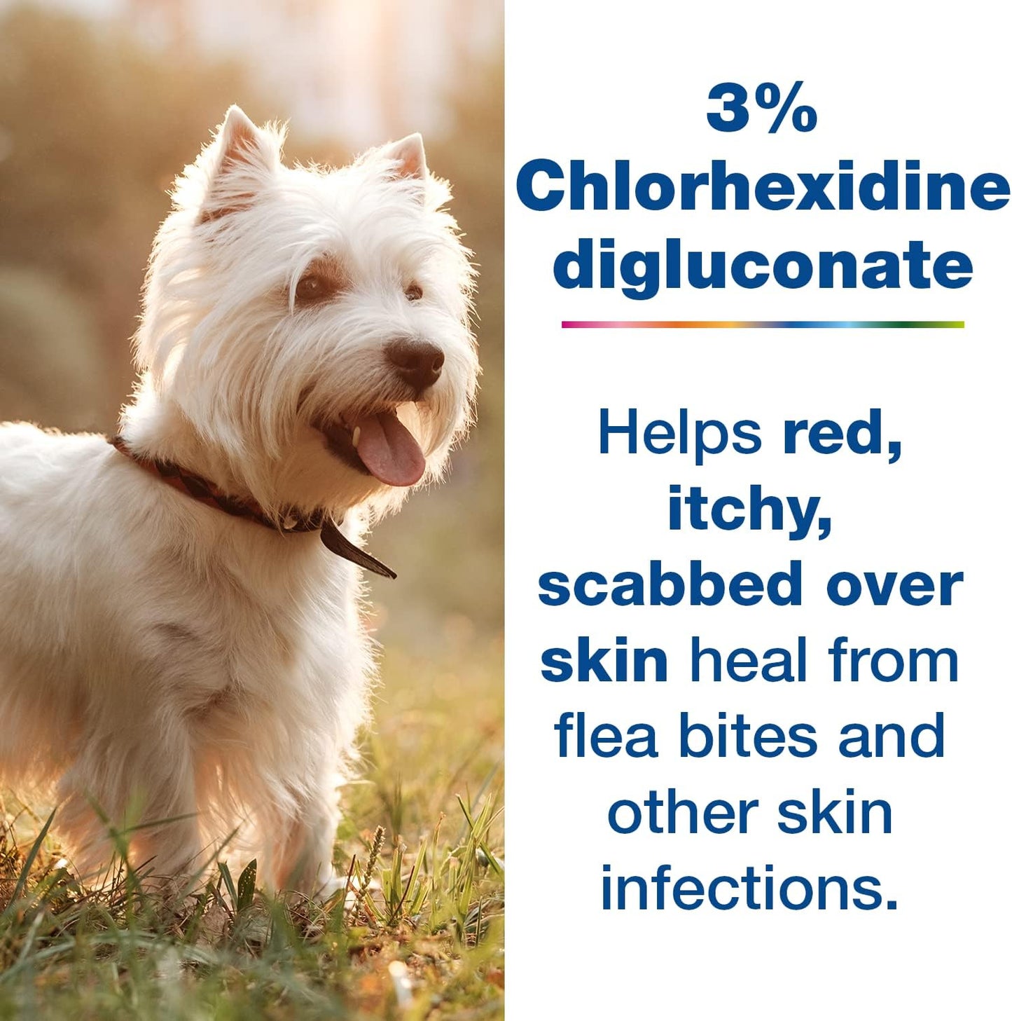 Douxo S3 Pyo Mousse, Contains 3% Chlorhexidine & 0.5% Ophytrium, Antiseptic & Hydrating, for Bacterial or Yeast Skin Infections, for Dogs, 5.1 fl. oz. (150mL)