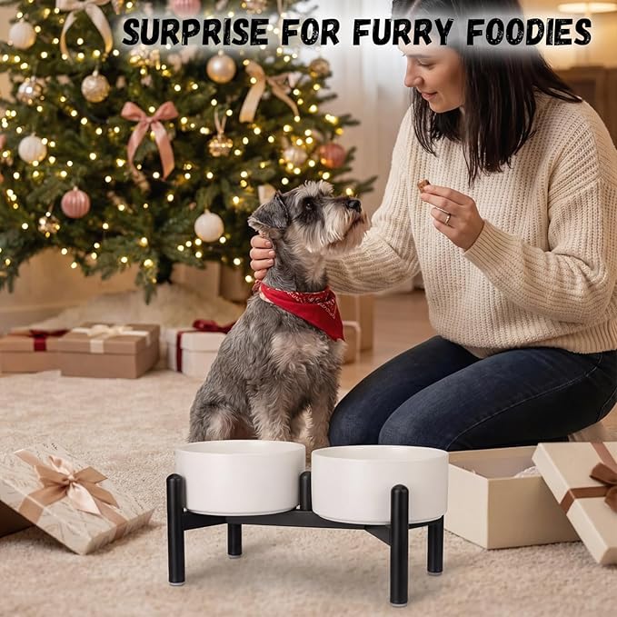 Raised Ceramic Dog Bowl Set - Image 9