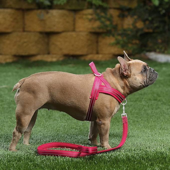 Plutus Pet No Pull Dog Harness - Image 5