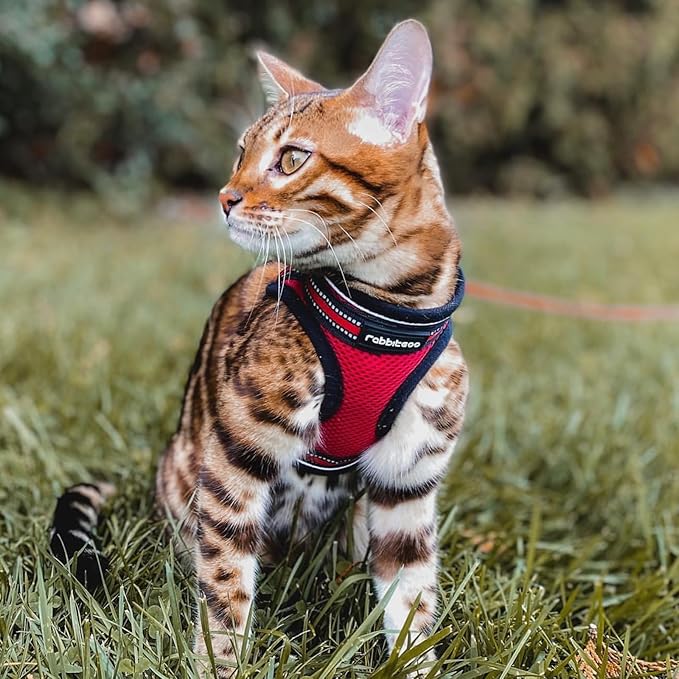 rabbitgoo Cat Harness and Leash Set - Image 9