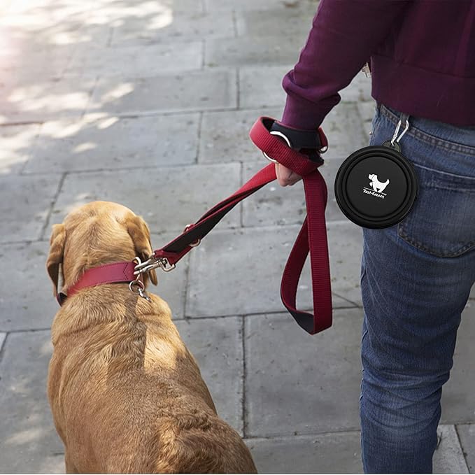 Collapsible Dog Bowls for Travel, BPA Free) - Image 7