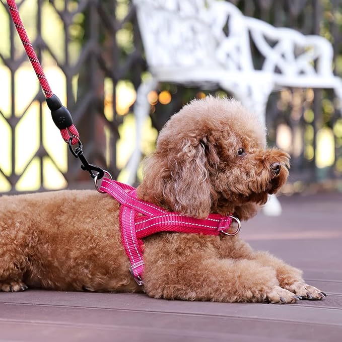 Plutus Pet No Pull Dog Harness - Image 5