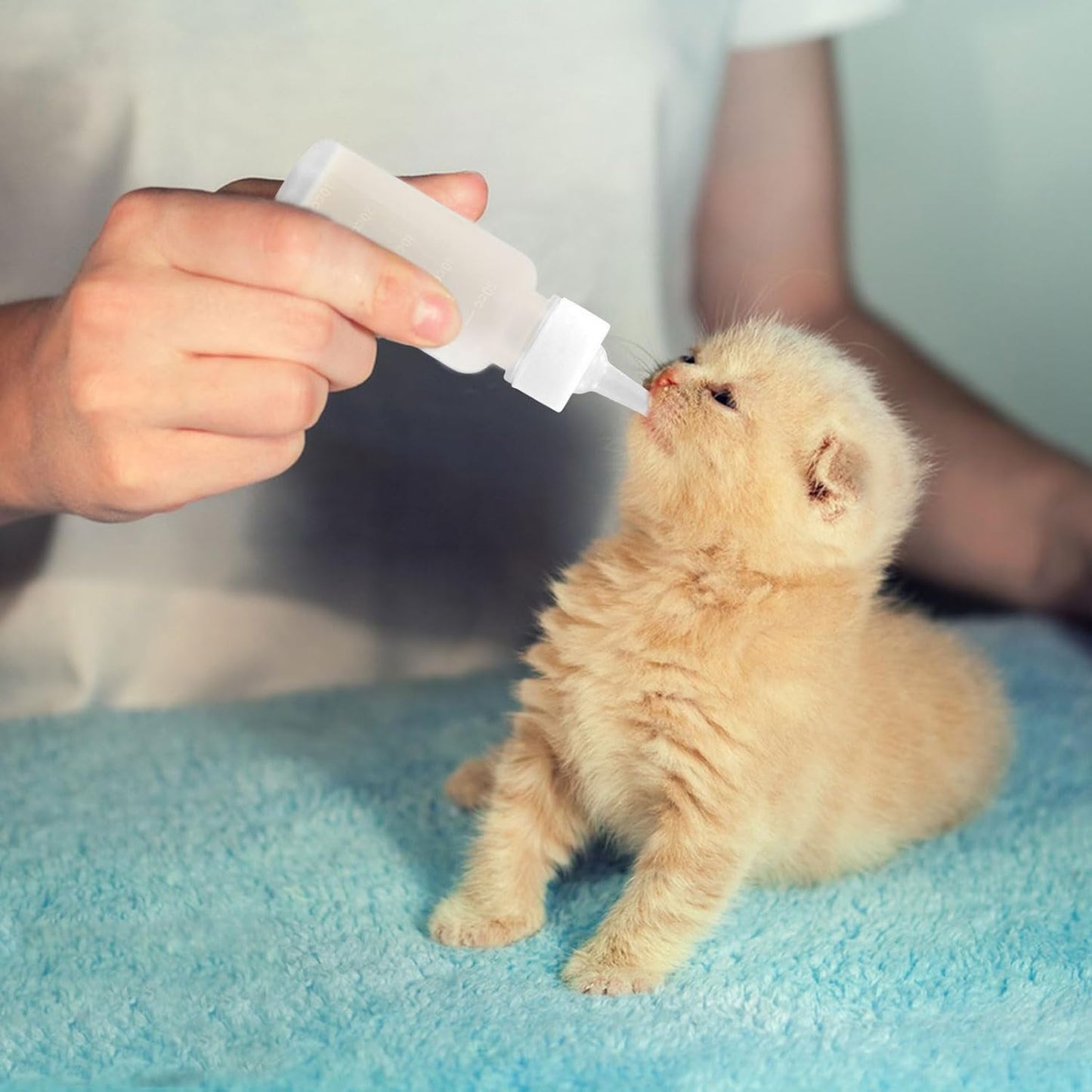 Suxgumoe Pet Feeding Bottle Set, Feeding Silicone Nipple with Bottle and Syringes, Reusable Pet Nursing Kits Feeding Tools for Rabbits, Small Animals (1 Bottle+3 Nipples+2 Syringes + 1 Cup+ 1 Spoon)