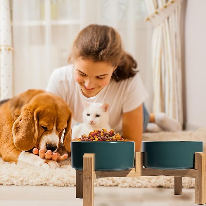 Elevated Ceramic Dog Bowl Set - Image 6