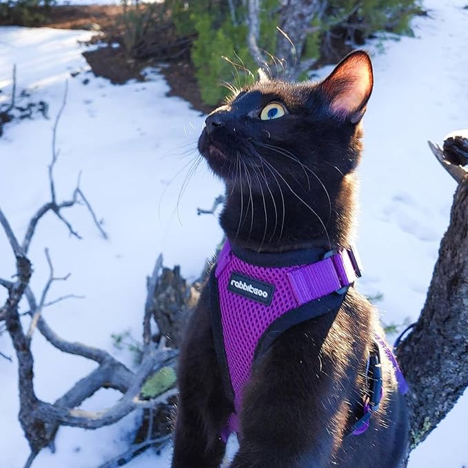 rabbitgoo Cat Harness and Leash - Image 9