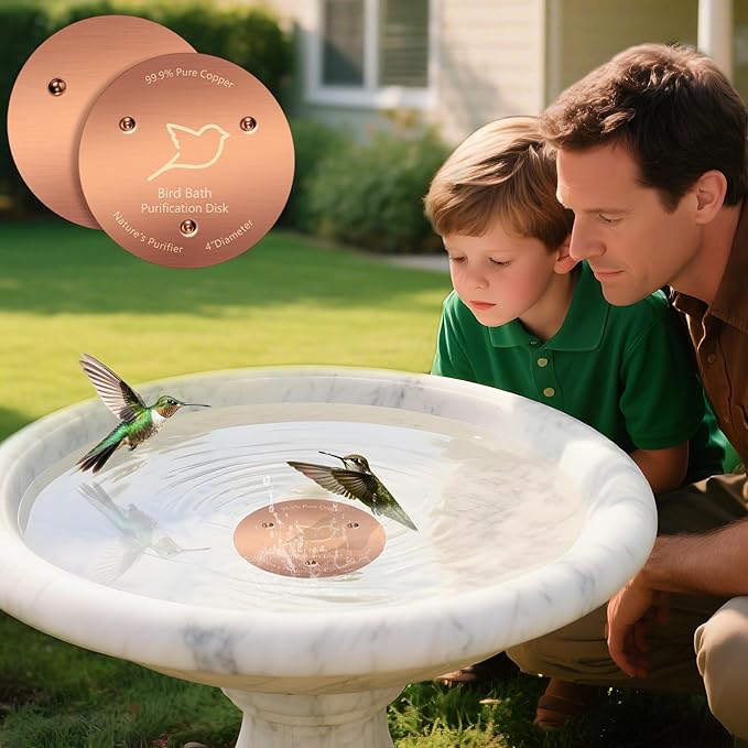 3 PCS Bird Bath Copper Disk, Reinforced 99.99% Pure Copper Disc - Image 8