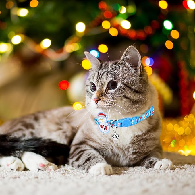 PUPTECK Cat Collar Breakaway - Image 7
