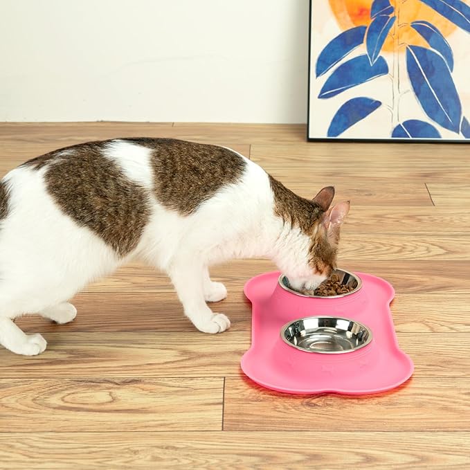 Conlun Dog Bowls with Silicone Feeding Mat, No Spill Food Water Dish Set - Image 9