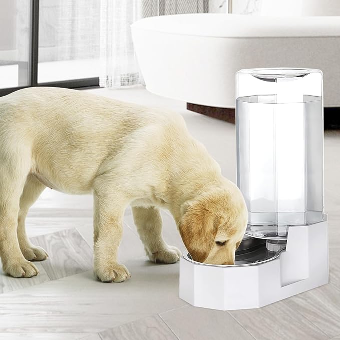 Sfozstra Large Dog Water Dispenser: 9L Automatic White Water Feeder - Image 7