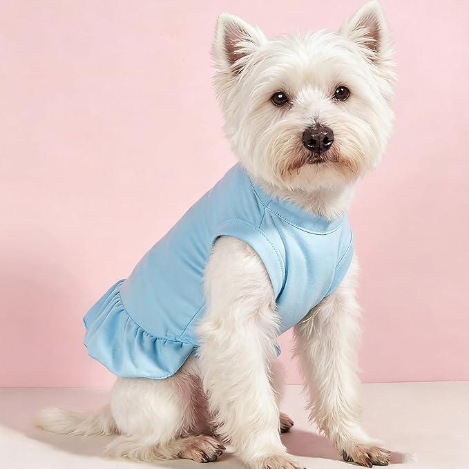 Custom Dog Shirt, Personalized Dog Clothes - Image 6