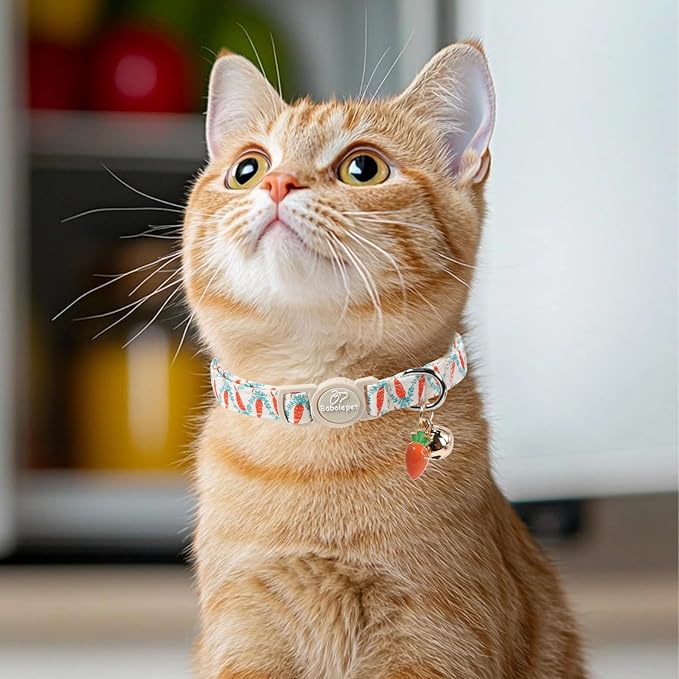 2 Pack Cute Cat Collars - Image 6