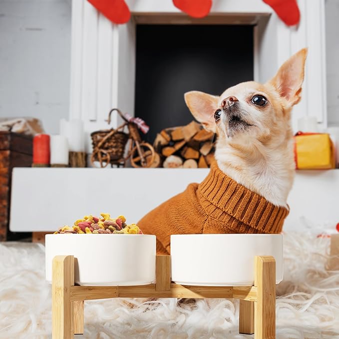 Elevated Ceramic Dog Bowl Set - Image 6