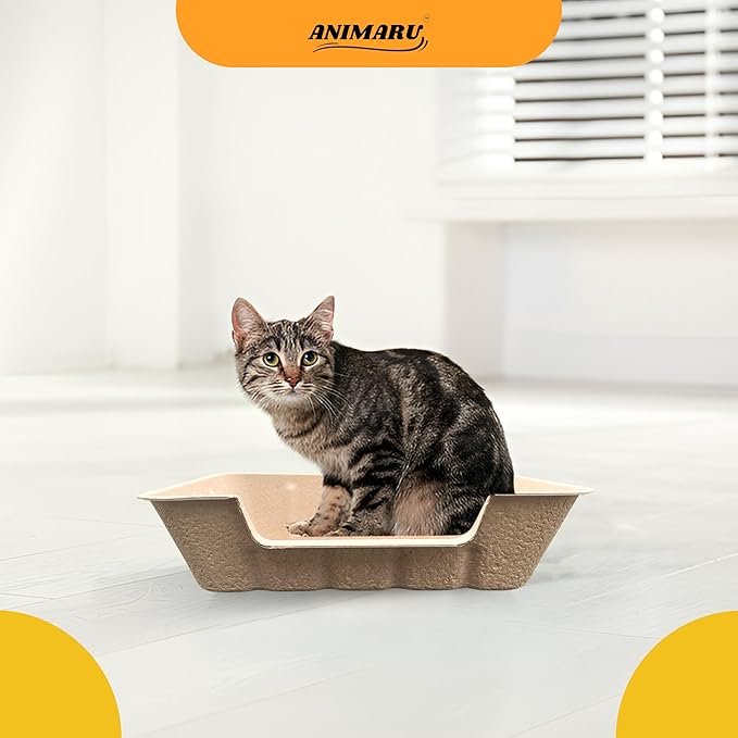 Disposable Litter Boxes - Image 7