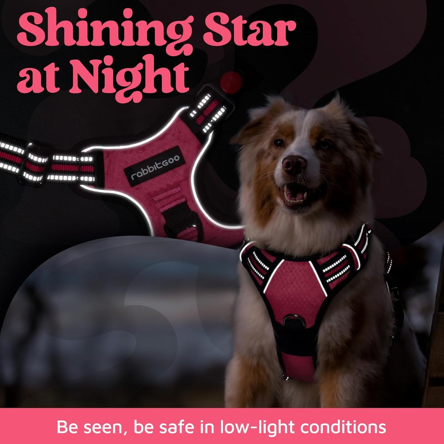 rabbitgoo Dog Harness Small Sized, No Pull Dog Vest with 3 Buckles, Adjustable Soft Padded Pet Harness with Easy Control Handle and Reflective Strips, Pink, S