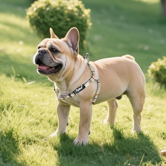 PUPTECK No Pull Dog Harness Soft Adjustable Basic Nylon Step in Puppy Vest - Image 6