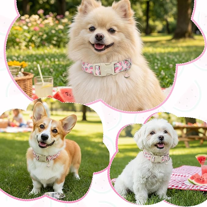 Summer Dog Collar, Cute Pink Dog Collar - Image 6