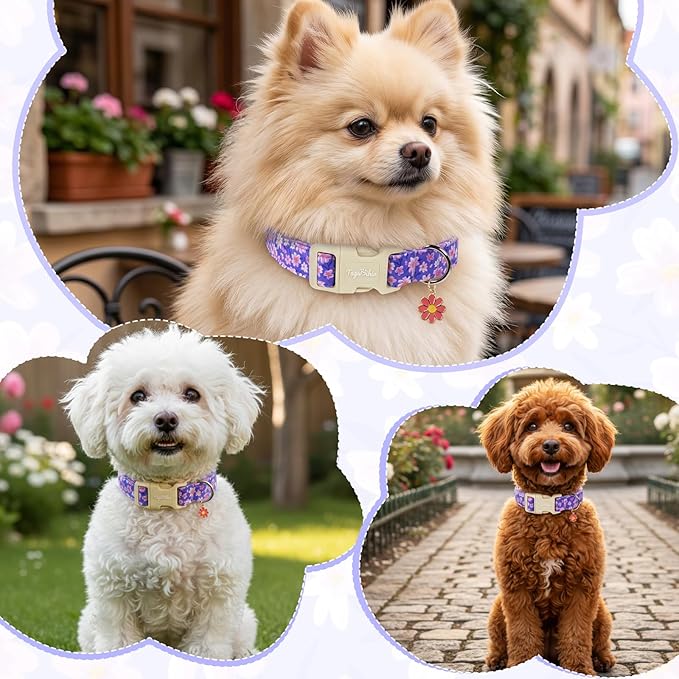 Floral Dog Collar, Spring Summer Cute Purple Flower Pet Collar - Image 6