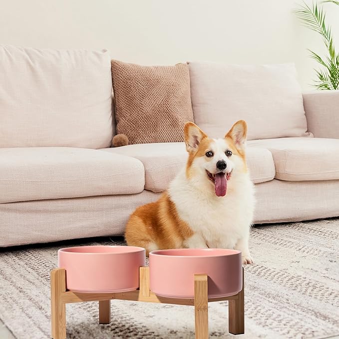 Elevated Ceramic Dog Bowl Set - Image 6