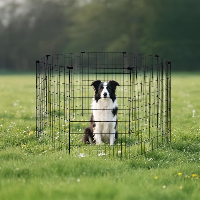 Amazon Basics Foldable Octagonal Metal Exercise Dog Playpen, Indoor/Outdoor - Image 7