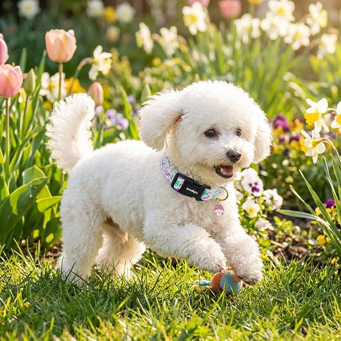 Easter Dog Collar, Spring Easter Egg Print Dog Collar - Image 7