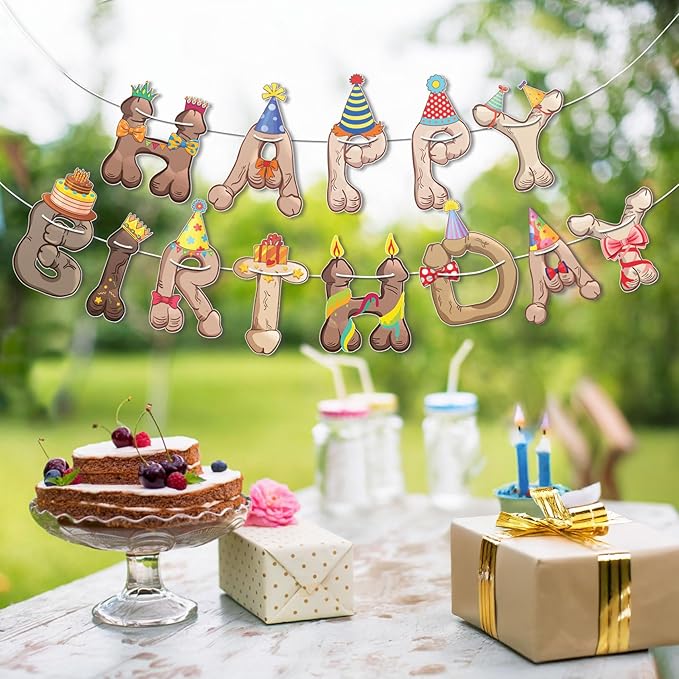 Funny Penis Happy Birthday Banner Garland — Pre-Strung Naughty Adult Birthday - Image 6