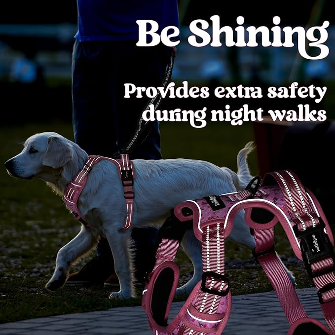 rabbitgoo Dog Harness for Large, No Pull Easy On & Off - Image 9