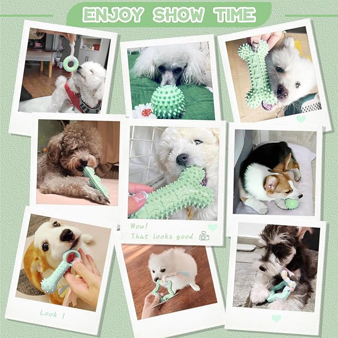Petcare 6 Pack Small Dog Toys for Small Breed, Cute Green Puppy Teething Toys - Image 8