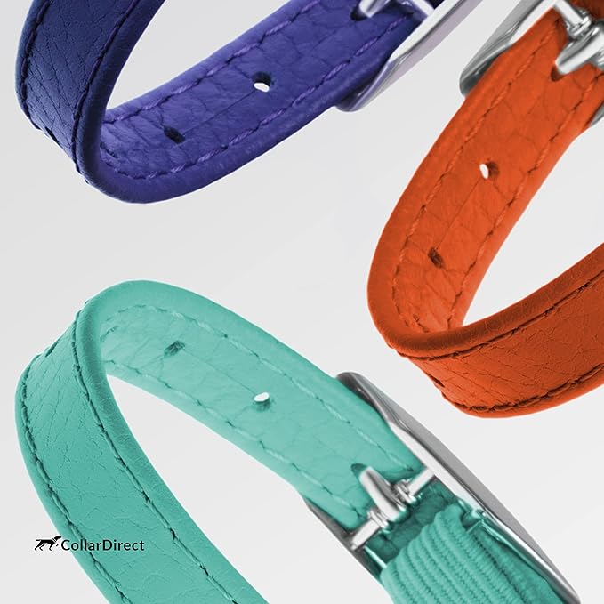 CollarDirect Leather Cat Collar - Image 8