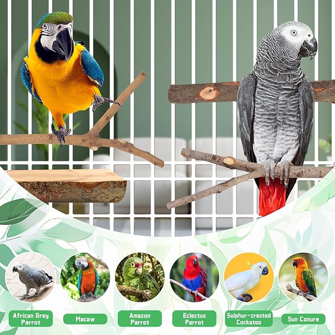 4-Pack Natural Wood Bird Perch Stand - Image 7