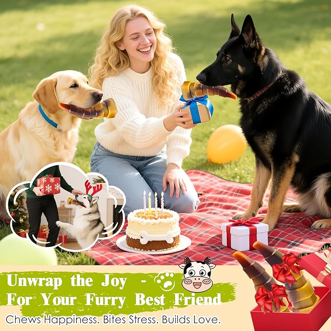 WOWBALA Dog Chew Toys for Aggressive Chewers, 2 Pack Indestructible Dog Toys - Image 7