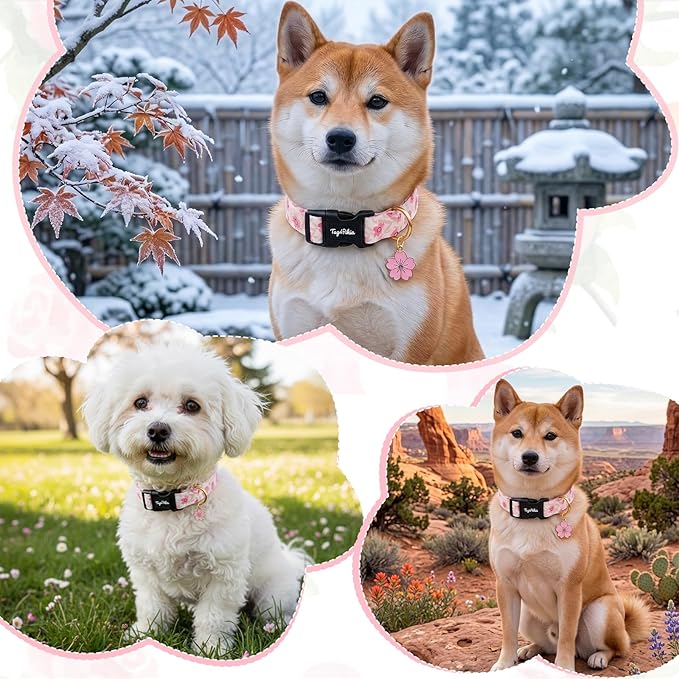 Dog Collar with Pink Cherry Blossom Patterns, Spring Summer Collection Dog - Image 7