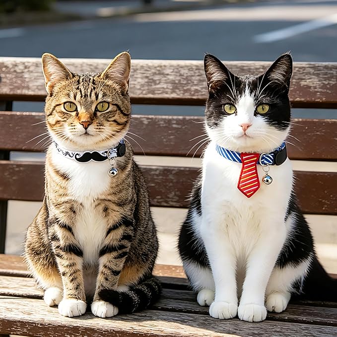 PUPTECK Cat Collar Breakaway - Image 7