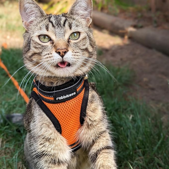 rabbitgoo Cat Harness and Leash, Step-in Escape Proof Kitten Harness Set - Image 9