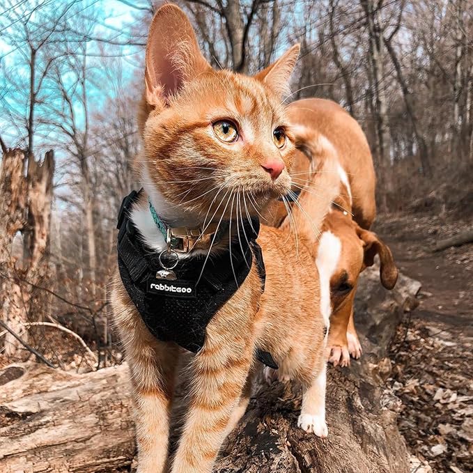 rabbitgoo Cat Harness and Leash Set, Escape Proof Vest Harness - Image 9