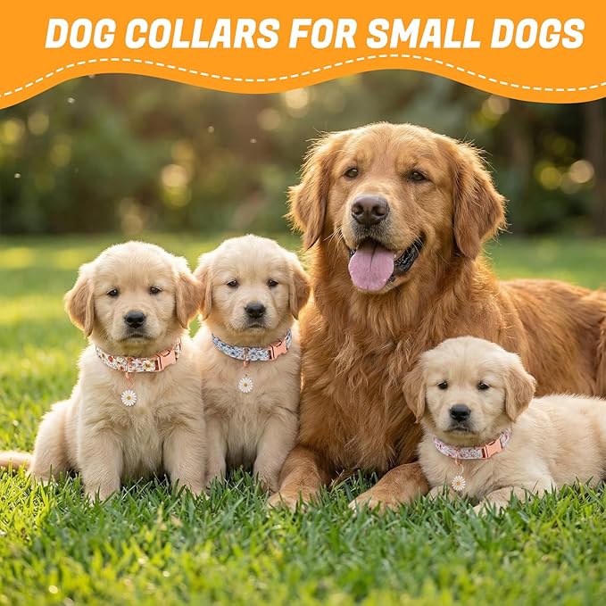3 Pack Floral Dog Collars for Small Dogs Flower Dog Collars - Image 7