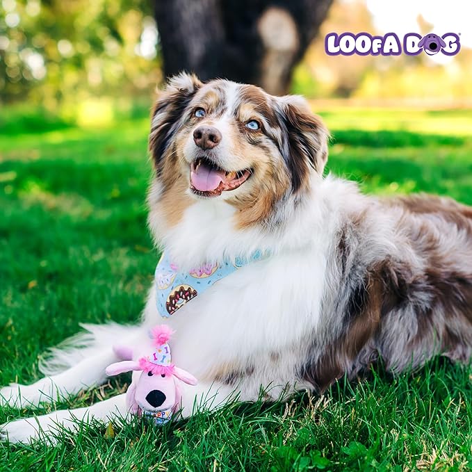 Multipet Loofa Dog Plush Toy w/ Birthday Hat - Image 8