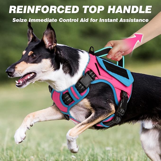 WINGOIN Tactical Dog Harness for Small Dogs, No Pull Harness - Image 5