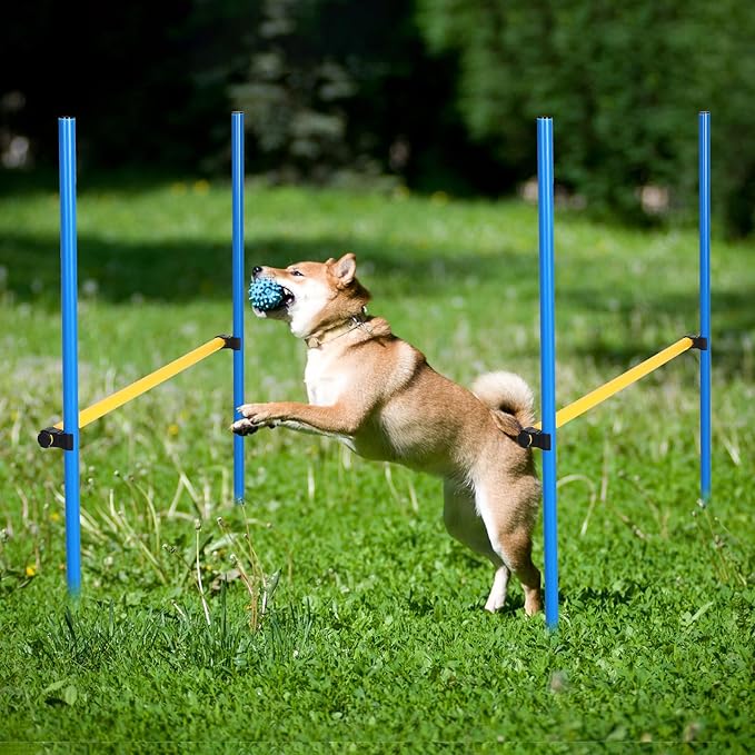 Hollowfly 8 Set Dog Agility Jump Adjustable Dog Agility Hurdle Training - Image 7