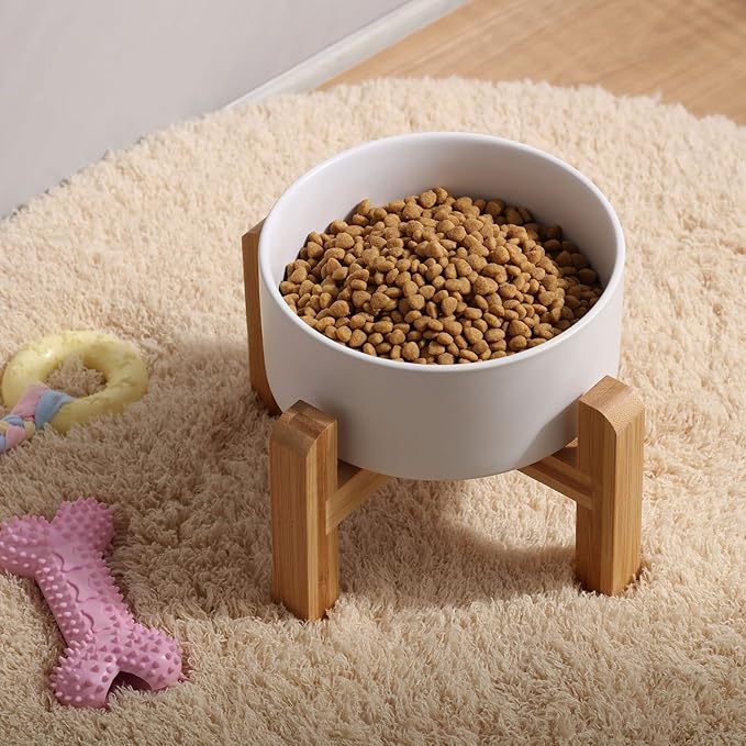 Petygooing White Elevated/Raised Ceramic Dog Bowl - Image 6